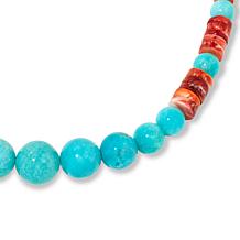 Jay King Amazonite and Spiny Oyster Shell Graduated Bead 18" Necklace
