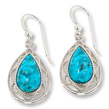 Jay King Heavenly Well Lake Compressed Turquoise Drop Earrings