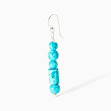 Jay King Heavenly Well Turquoise Earrings, Sterling Silver