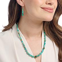 Jay King Sonoran Blue Turquoise Necklace & Earring Set