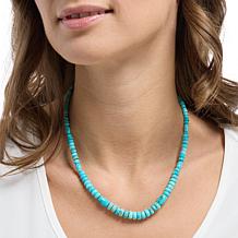 Jay King Sterling Silver Angel Peak Turquoise Necklace
