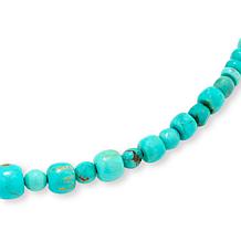 Jay King Sterling Silver Baja Turquoise Bead 18" Necklace