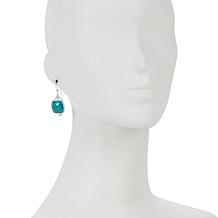Jay King Sterling Silver Sonoran Blue Turquoise Drop Earrings