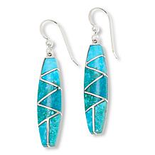 Jay King Sterling Silver Sonoran Turquoise Dangle Earrings