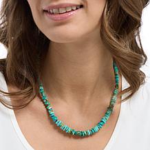 Jay King Sterling Silver Sonoran Turquoise Necklace
