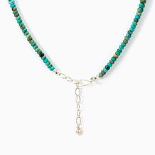 Jay King Sterling Spruce Mountain Turquoise & Green Amber Necklace