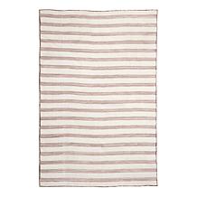 Joy CleanBoss Indoor/Outdoor Antimicrobial 4'x6' Area Rug