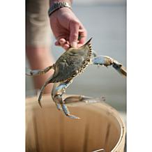 Kent Island Crab 10-count 4 oz. Jumbo Lump Crab Cakes Auto-Ship®