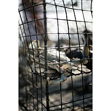 Kent Island Crab 12-count 2 oz. Jumbo Lump Crab Cakes Auto-Ship®