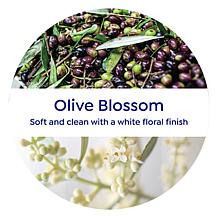 Korres 2-pack Olive & Blossom Jumbo Size Body Cream