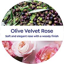 Korres 2-pack Olive & Velvet Rose Jumbo Size Body Cream