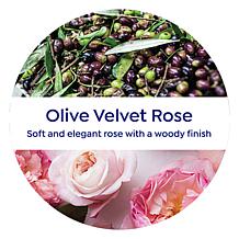 Korres Olive Oil & Velvet Rose Shower Gel - 1 Liter