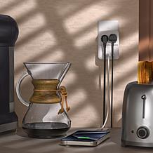 LAX Gadgets 2-Outlet and 4-USB Travel Surge Protector