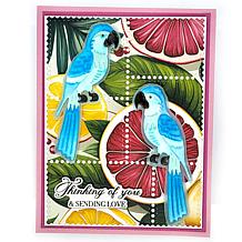 LDRS Creative Tropical Multi Die and Stencil Set 