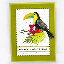 LDRS Creative Vellum and Cardstock All-Occasion Paper Crafting Bundle