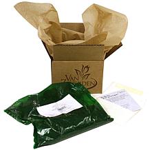 Lilies Double Tiger Set of 7 Bulbs