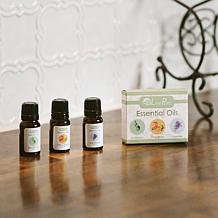 LivePure Essential Oils Variety 3-pack