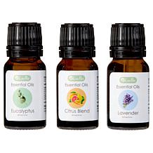 LivePure Essential Oils Variety 3-pack