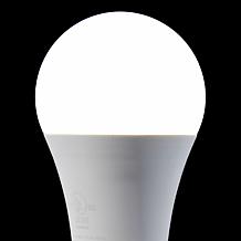 Living Glow Dusk-to-Dawn 4-pack LED Bulbs