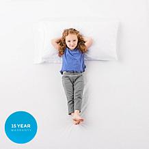 LUCID Comfort Collection Mattress Protector - Queen