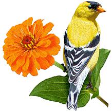 Madd Capp’s 300-piece I AM GOLDFINCH Puzzle