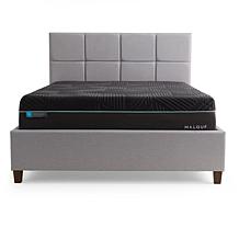 Malouf Ice Cloud 14" CalKing Coolsync Hybrid Mattress