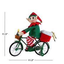 Mr. Christmas 11.5" Cycler Gnome
