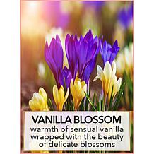 Nakery Beauty Hydra-C Oil to Foam Cleanser for Face and Body