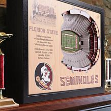 NCAA FL State Seminoles StadiumViews Wall Art - Doak Campbell Stadium 