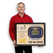NCAA Michigan Wolverines StadiumViews 3-D Wall Art - Michigan Stadium 