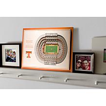 NCAA Tennessee Volunteers StadiumViews 3-D Wall Art - Neyland Stadium 