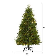 Nearly Natural 5' Sun Valley Fir Artificial Christmas Tree