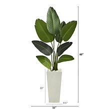 Nearly Natural 5’ Travelers Palm Artificial Tree in Tall White Planter