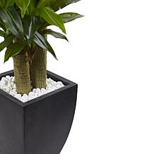 Nearly Natural 5.5' Corn Stalk Dracaena with Black Wash Planter