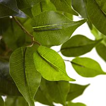 Nearly Natural 5.5 ft. Ficus Tree UV Resistant Indoor/Outdoor Plant