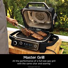 Ninja Woodfire 7-in-1 Outdoor Grill & Smoker with Cover & Griddle