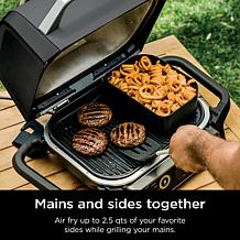 Ninja Woodfire Outdoor 2.5-qt Combo Crisper Basket