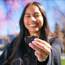 No Sugar Company 60-count Cupz - Dark Chocolate Peanut Butter