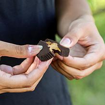 No Sugar Company 60-count Cupz - Peanut Butter and Fudge Brownie - AS