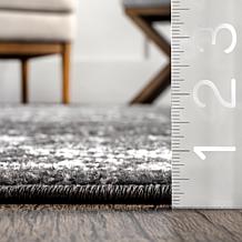 nuLOOM Arlena Vintage Traditional Area Rug 4' x 6' Charcoal