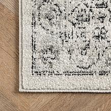 nuLOOM Minta Vintage Transitional Area Rug - 4' x 6' Grey