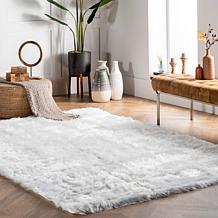nuLOOM Rodolfo Solid Shag 4' x 6' Area Rug 