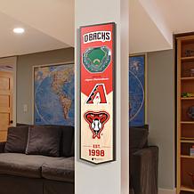 Officially Licensed MLB Arizona Diamondbacks 3D Stadium Banner
