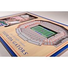 Officially Licensed NCAA 3-D Stadium Views Picture Frame - FL Gators 