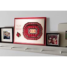 Officially Licensed NCAA Louisville Cardinals Wall Art- KFC Yum Center