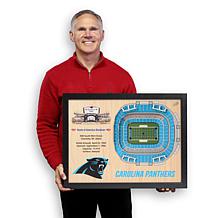 Officially Licensed NFL 25-Layer StadiumViews 3D Wall Art - Panthers 