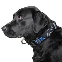 Officially Licensed NFL Carolina Panthers Premium Pet Collar