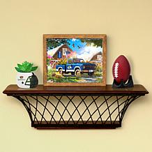 Officially Licensed NFL Sporticulture LED Lite Box