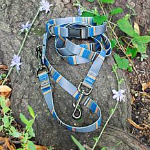 Pendleton Olympic National Park Adventure Dog Collar