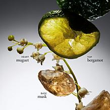 philosophy amazing grace eau de toilette 2 oz.